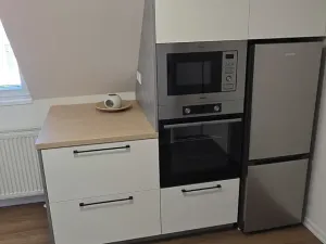 Pronájem bytu 2+kk, Opava, Máchova, 48 m2