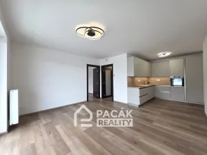 Pronájem bytu 2+kk, Olomouc, Třída Jiřího Pelikána, 52 m2