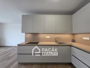 Pronájem bytu 2+kk, Olomouc, Třída Jiřího Pelikána, 52 m2