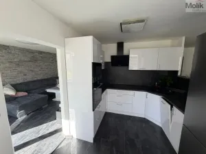 Prodej bytu 4+1, Nová Ves v Horách, 99 m2