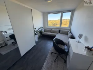 Prodej bytu 4+1, Nová Ves v Horách, 99 m2