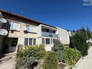 Prodej bytu 4+1, Nová Ves v Horách, 99 m2