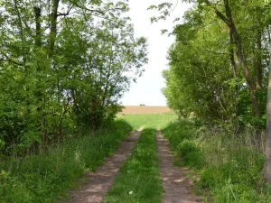 Prodej zahrady, Železnice, 448 m2