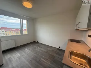 Pronájem bytu 1+1, Most, Marš. Rybalka, 35 m2