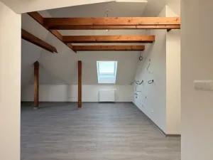 Pronájem bytu 1+kk, Hlučín, Zahradní, 59 m2