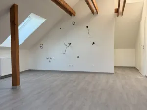 Pronájem bytu 1+kk, Hlučín, Zahradní, 59 m2