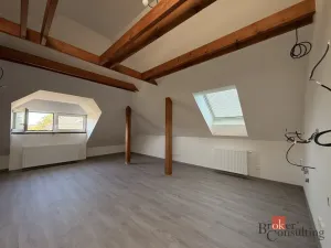 Pronájem bytu 1+kk, Hlučín, Zahradní, 59 m2