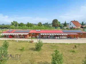 Prodej vícegeneračního domu, Pečky, 280 m2
