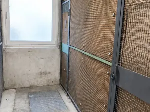 Prodej bytu 2+1, Žatec, Dukelská, 55 m2