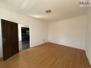 Prodej bytu 2+1, Bílina - Teplické Předměstí, Sídliště Za Chlumem, 52 m2