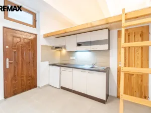 Prodej bytu 1+kk, Praha - Smíchov, Mošnova, 19 m2