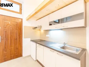 Prodej bytu 1+kk, Praha - Smíchov, Mošnova, 19 m2