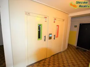 Prodej bytu 3+1, Ostrava, Řecká, 65 m2