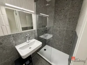 Pronájem bytu 1+kk, Brno - Zábrdovice, Bratislavská, 24 m2