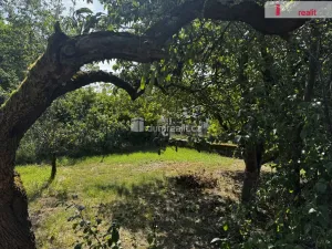 Prodej výrobních prostor, Velešín, náměstí J. V. Kamarýta, 505 m2