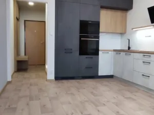 Pronájem bytu 1+1, Frýdek-Místek - Místek, Maxima Gorkého, 42 m2