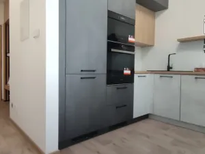 Pronájem bytu 1+1, Frýdek-Místek - Místek, Maxima Gorkého, 42 m2