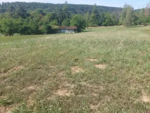 Prodej zahrady, Stražisko, 6360 m2