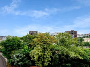 Pronájem bytu 2+1, Praha, Fričova, 54 m2
