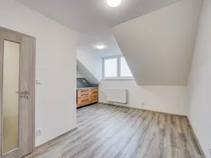 Pronájem bytu 2+kk, Chotěšov, Kollárova, 50 m2