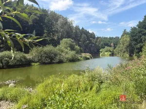 Prodej chaty, Černýšovice - Hutě, 94 m2