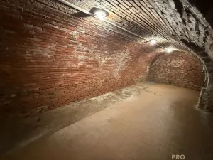 Prodej vinného sklepa, Žabčice, 140 m2