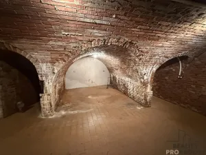 Prodej vinného sklepa, Žabčice, 140 m2