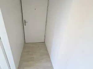 Pronájem bytu 1+kk, Praha - Michle, Hadovitá, 24 m2