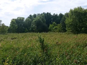 Prodej pozemku, Brod nad Dyjí, 6724 m2