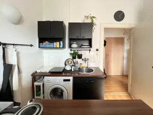 Pronájem bytu 2+kk, Brno, Gorkého, 35 m2
