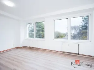 Pronájem bytu 2+kk, Mlékojedy, 52 m2
