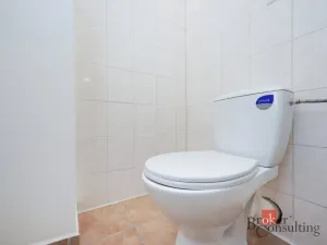 Pronájem bytu 2+kk, Mlékojedy, 52 m2