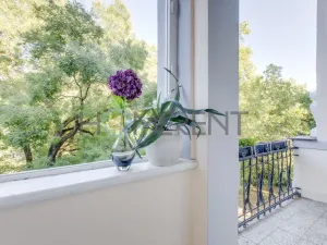 Pronájem bytu 2+kk, Praha - Karlín, Kaizlovy sady, 46 m2
