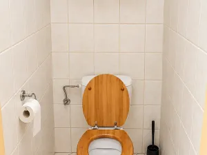 Pronájem bytu 2+kk, Olomouc, Handkeho, 55 m2