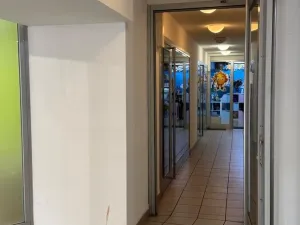 Pronájem obchodního prostoru, Brno, Masarykova, 30 m2