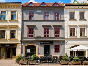 Pronájem restaurace, Brno, Jakubská, 233 m2