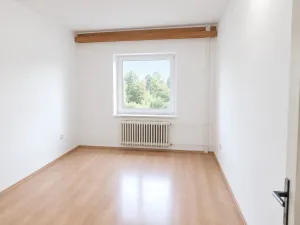 Pronájem bytu 1+kk, Olešná, 22 m2