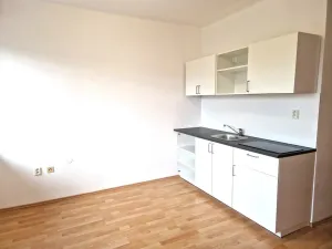 Pronájem bytu 1+kk, Olešná, 22 m2