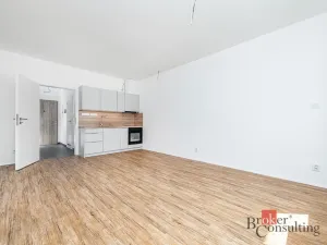 Pronájem bytu 1+kk, Plzeň - Jižní Předměstí, Železná, 35 m2