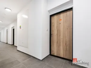 Pronájem bytu 1+kk, Plzeň - Jižní Předměstí, Železná, 35 m2
