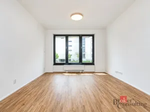 Pronájem bytu 1+kk, Plzeň - Jižní Předměstí, Železná, 30 m2