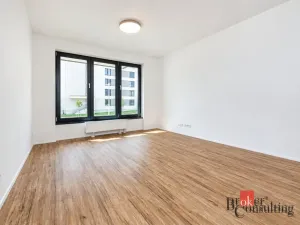 Pronájem bytu 1+kk, Plzeň - Jižní Předměstí, Železná, 30 m2