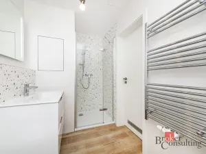 Pronájem bytu 1+kk, Plzeň - Jižní Předměstí, Železná, 30 m2