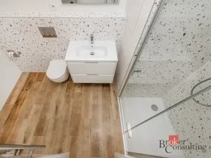 Pronájem bytu 1+kk, Plzeň - Jižní Předměstí, Železná, 30 m2