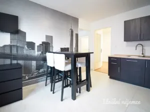 Pronájem bytu 1+1, Brno - Trnitá, Křenová, 48 m2