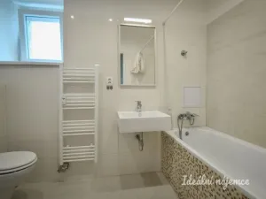 Pronájem bytu 1+1, Brno - Trnitá, Křenová, 48 m2