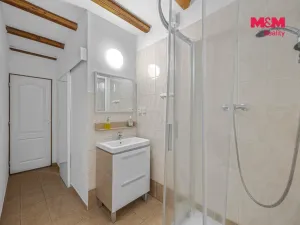 Prodej ubytování, Deštné v Orlických horách, 1200 m2
