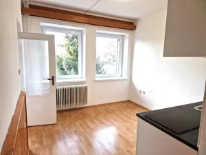 Pronájem bytu 2+kk, Olešná, 40 m2