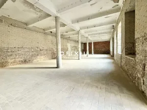 Pronájem obchodního prostoru, Brno - Staré Brno, Václavská, 1500 m2
