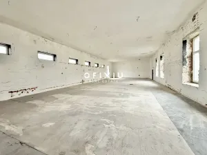 Pronájem obchodního prostoru, Brno - Staré Brno, Václavská, 1500 m2